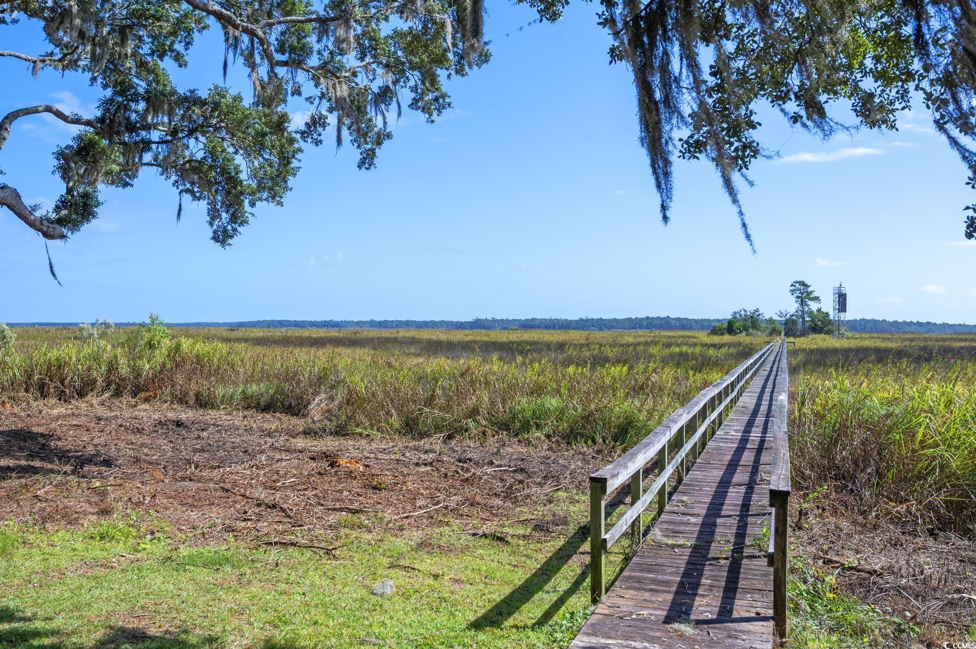 Lot 5 Whitehall Avenue Georgetown, SC 29440 - Photo 6 of 20
