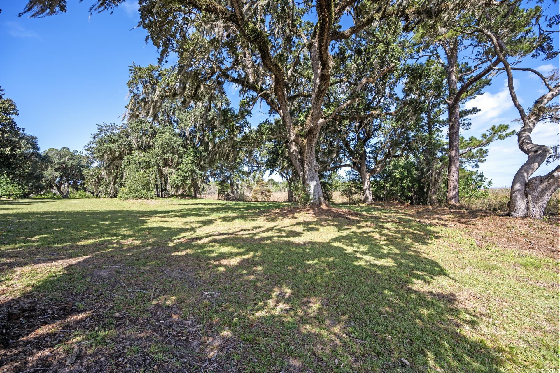 Lot 5 Whitehall Avenue Georgetown, SC 29440 - Photo 7 of 20