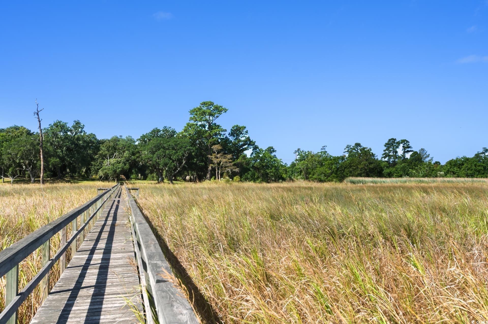 Lot 5 Whitehall Avenue Georgetown, SC 29440 - Photo 8 of 20