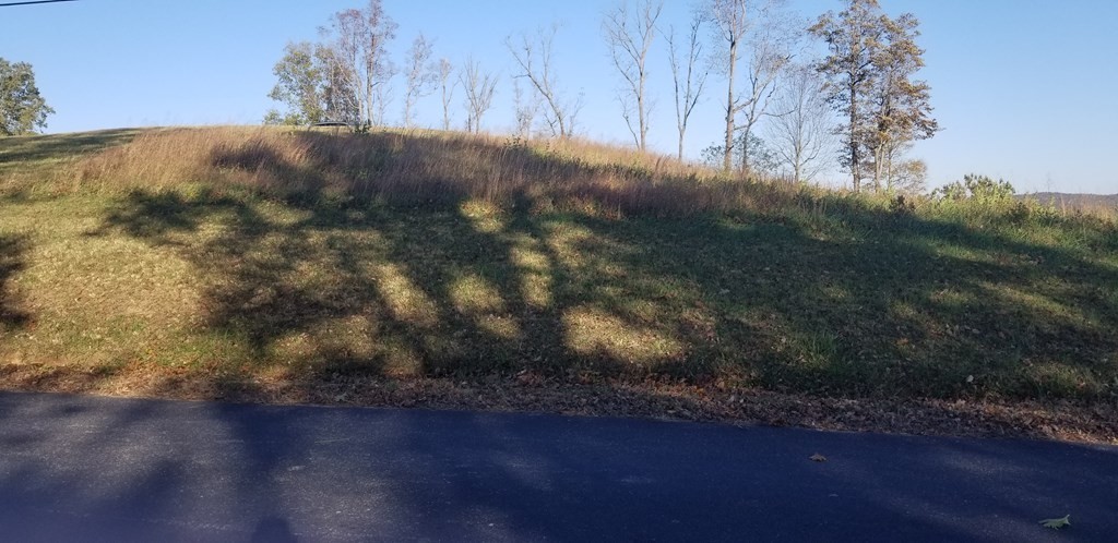 1 Swan Ridge Road Celina, TN 38551 - Photo 6 of 35