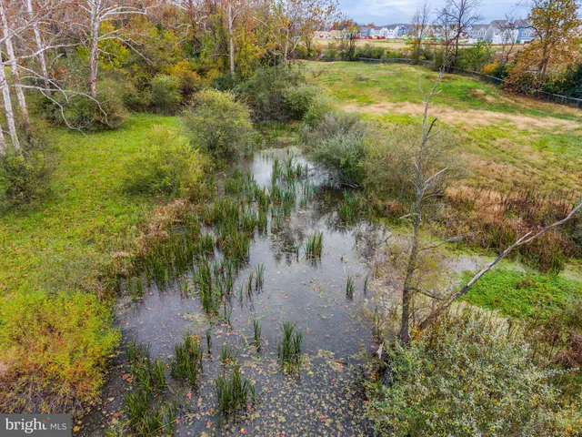 a view of lake with green space