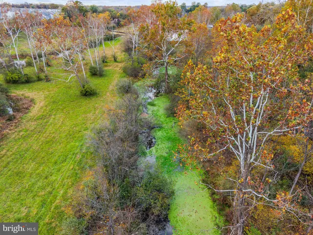 a view of a yard with plants
