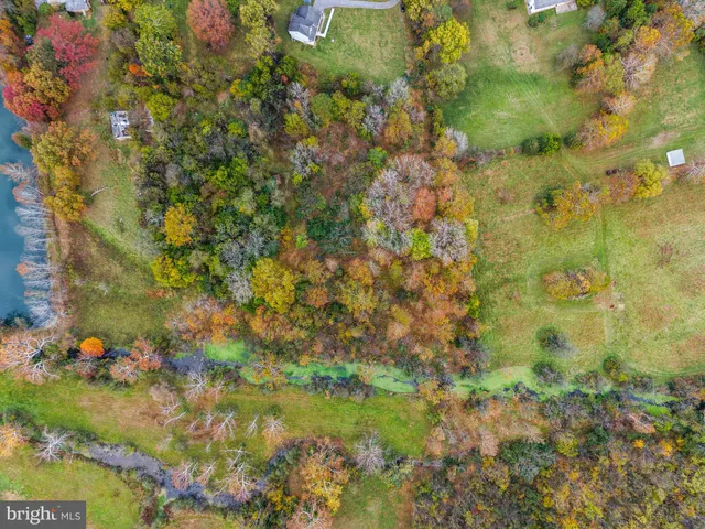 a view of a bunch of flowers