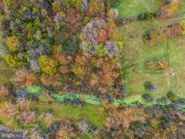 a view of a lake with a tree