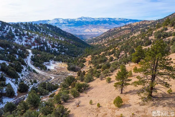 a view of mountain view with lots of trees