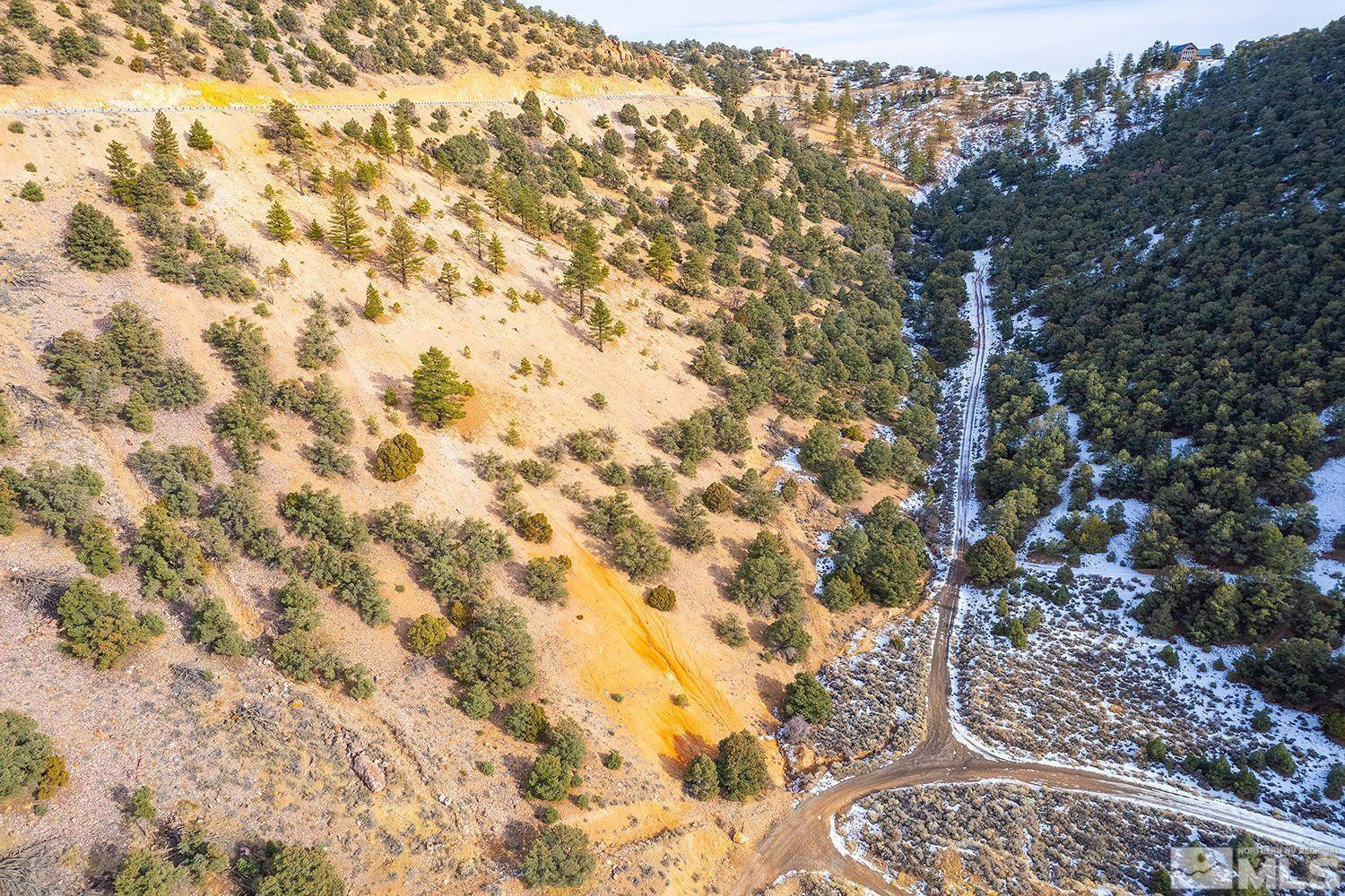 30 Toll Road, Unit 3 Reno, NV 89521 - Photo 6 of 7 a picture of a tree