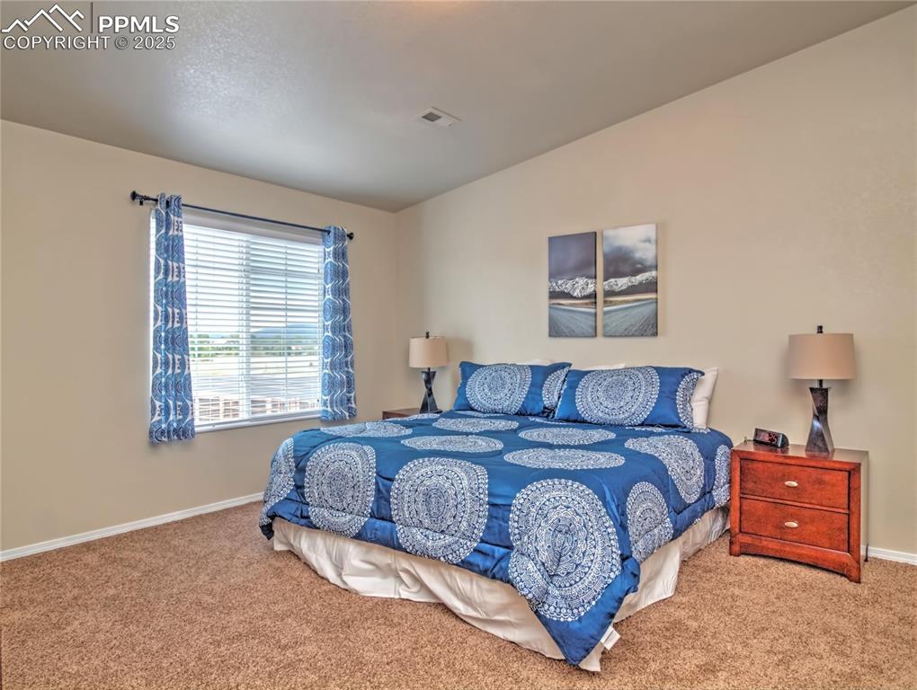 4806 Rusty Nail Point, Unit 202 Colorado Springs, CO 80916 - Photo 16 of 24 Bedroom with carpet floors and lofted ceiling