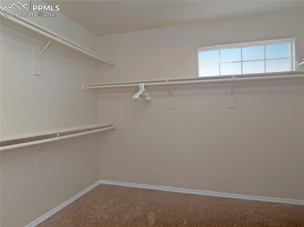 4806 Rusty Nail Point, Unit 202 Colorado Springs, CO 80916 - Photo 20 of 24 Spacious closet featuring light carpet