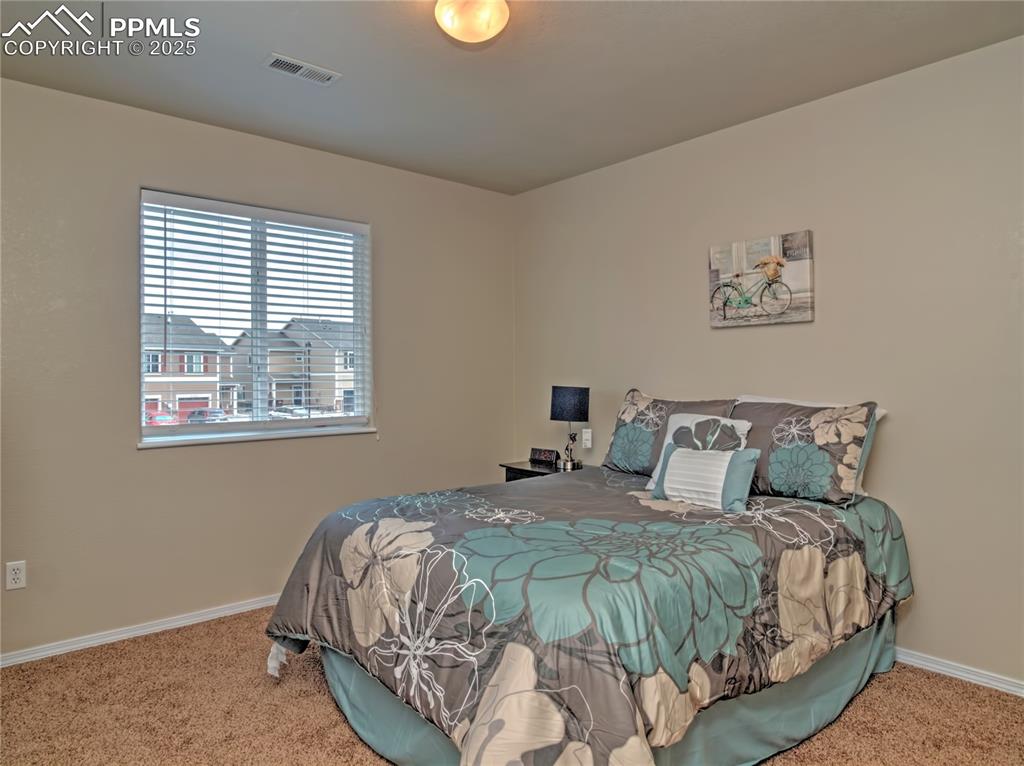4806 Rusty Nail Point, Unit 202 Colorado Springs, CO 80916 - Photo 22 of 24 Carpeted bedroom with baseboards
