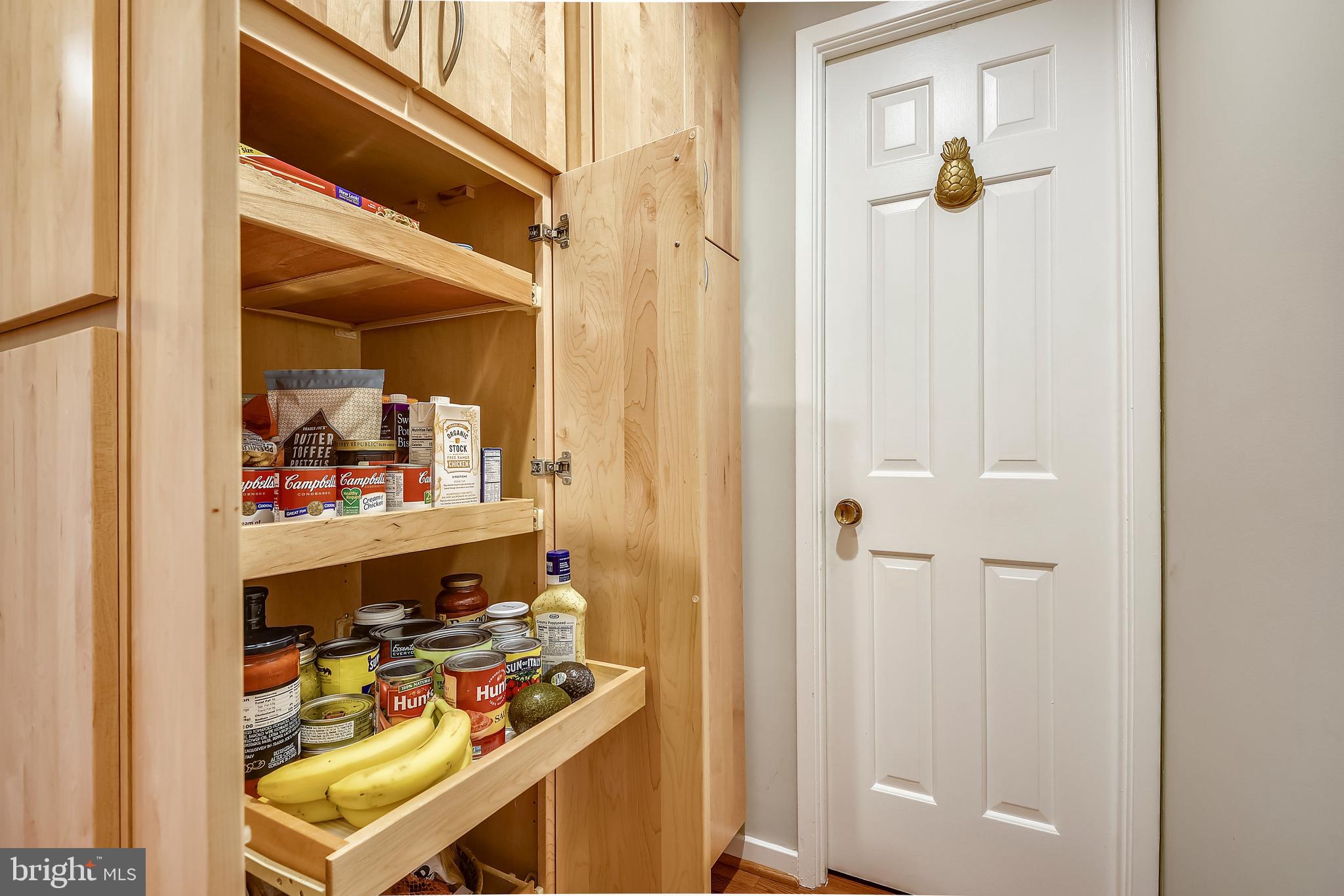 624 Shore Acres Road Arnold, MD 21012 - Photo 14 of 60 Organized Pantry Space