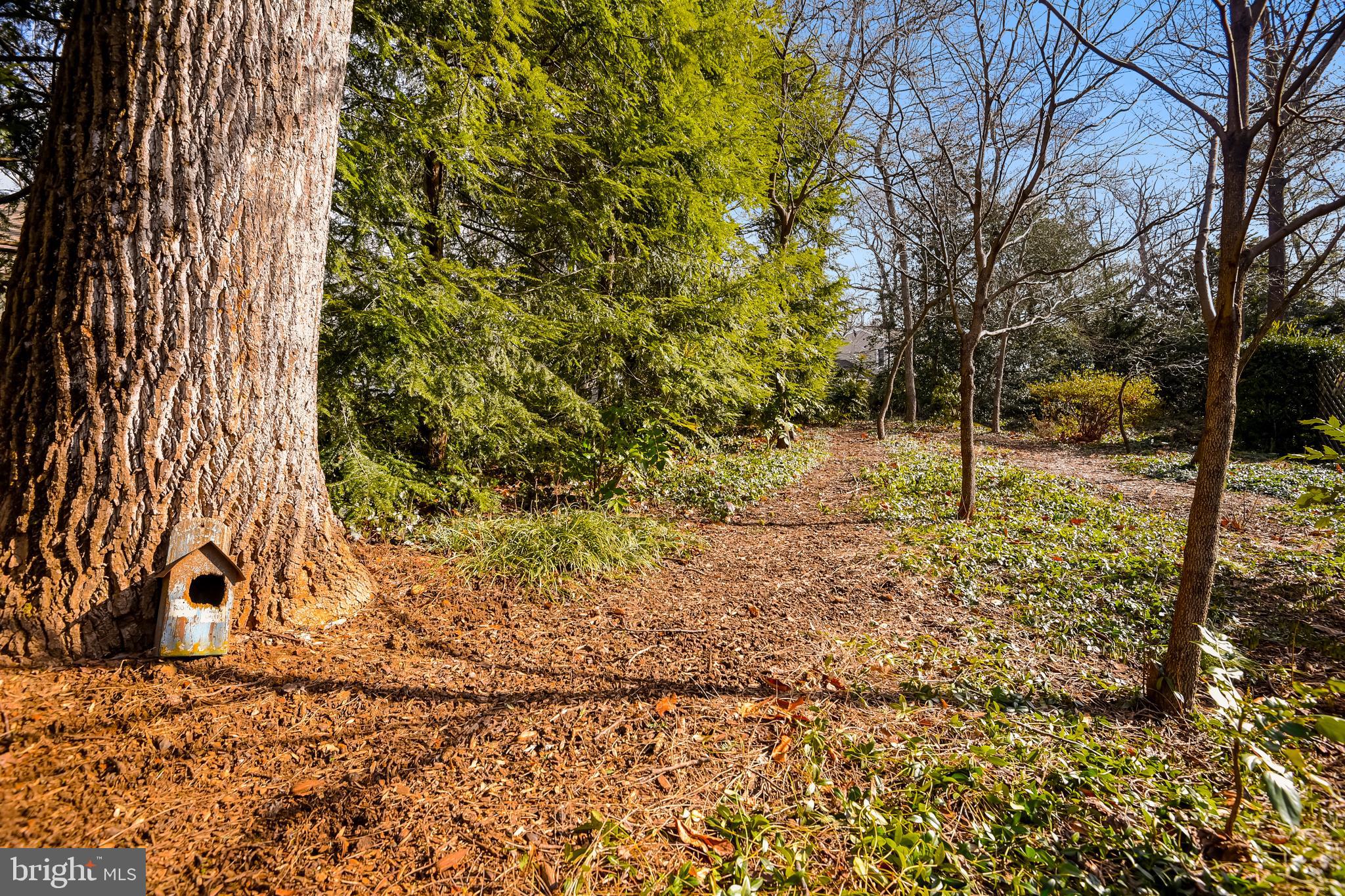 624 Shore Acres Road Arnold, MD 21012 - Photo 42 of 60 Gallery Image 42