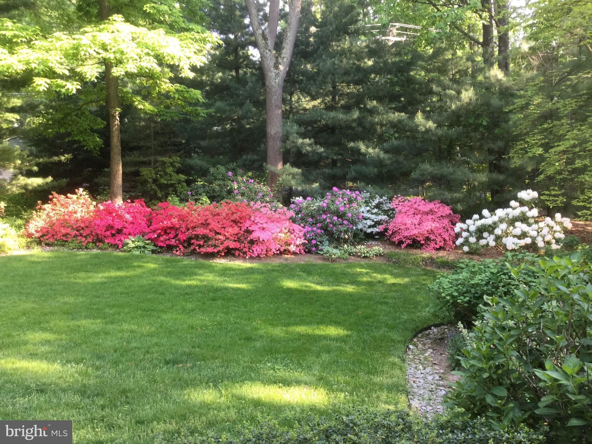 624 Shore Acres Road Arnold, MD 21012 - Photo 43 of 60 Photo of Front Yard in Spring showing Road Privacy