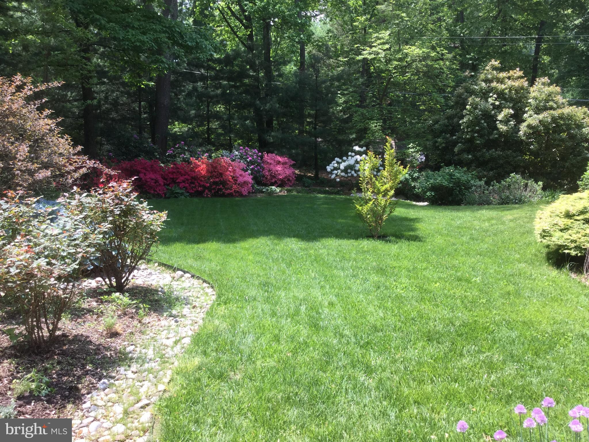 624 Shore Acres Road Arnold, MD 21012 - Photo 44 of 60 Spring Photo