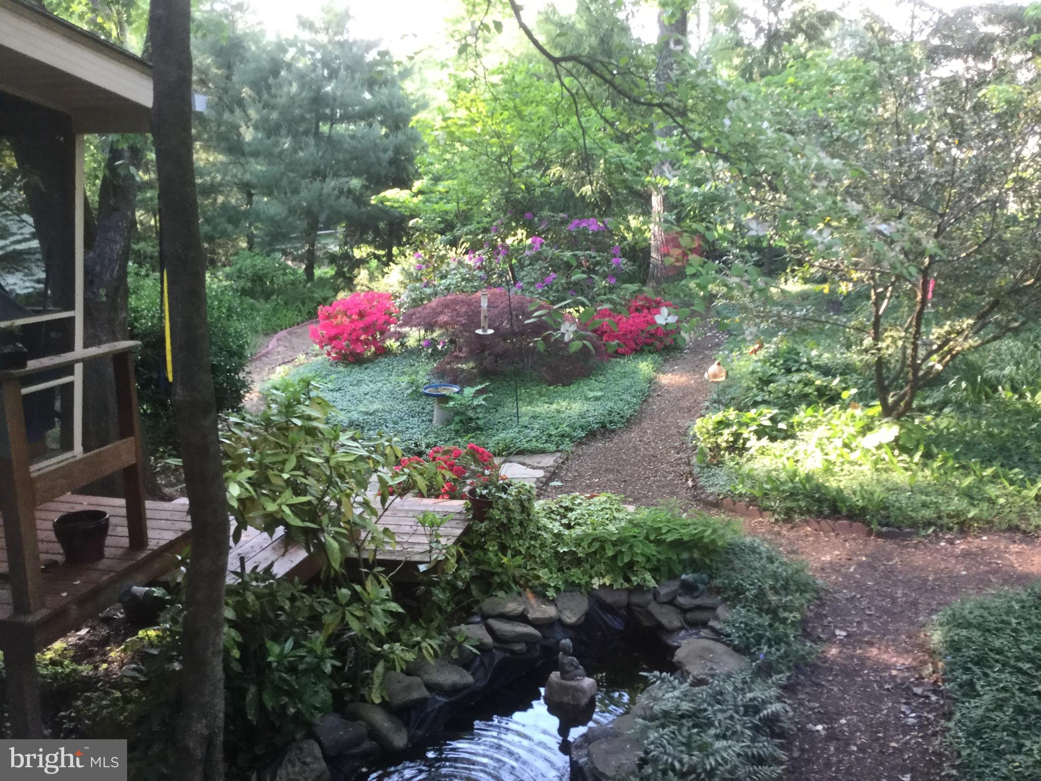 624 Shore Acres Road Arnold, MD 21012 - Photo 45 of 60 Spring Photo of the Back Yard Gardens and Pond