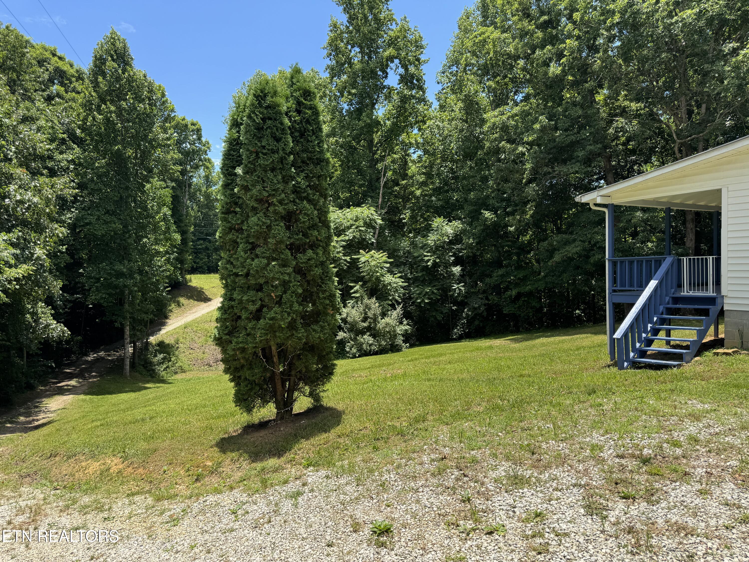 125 Walnut Lane Oneida, TN 37841 - Photo 7 of 39 IMG_7655