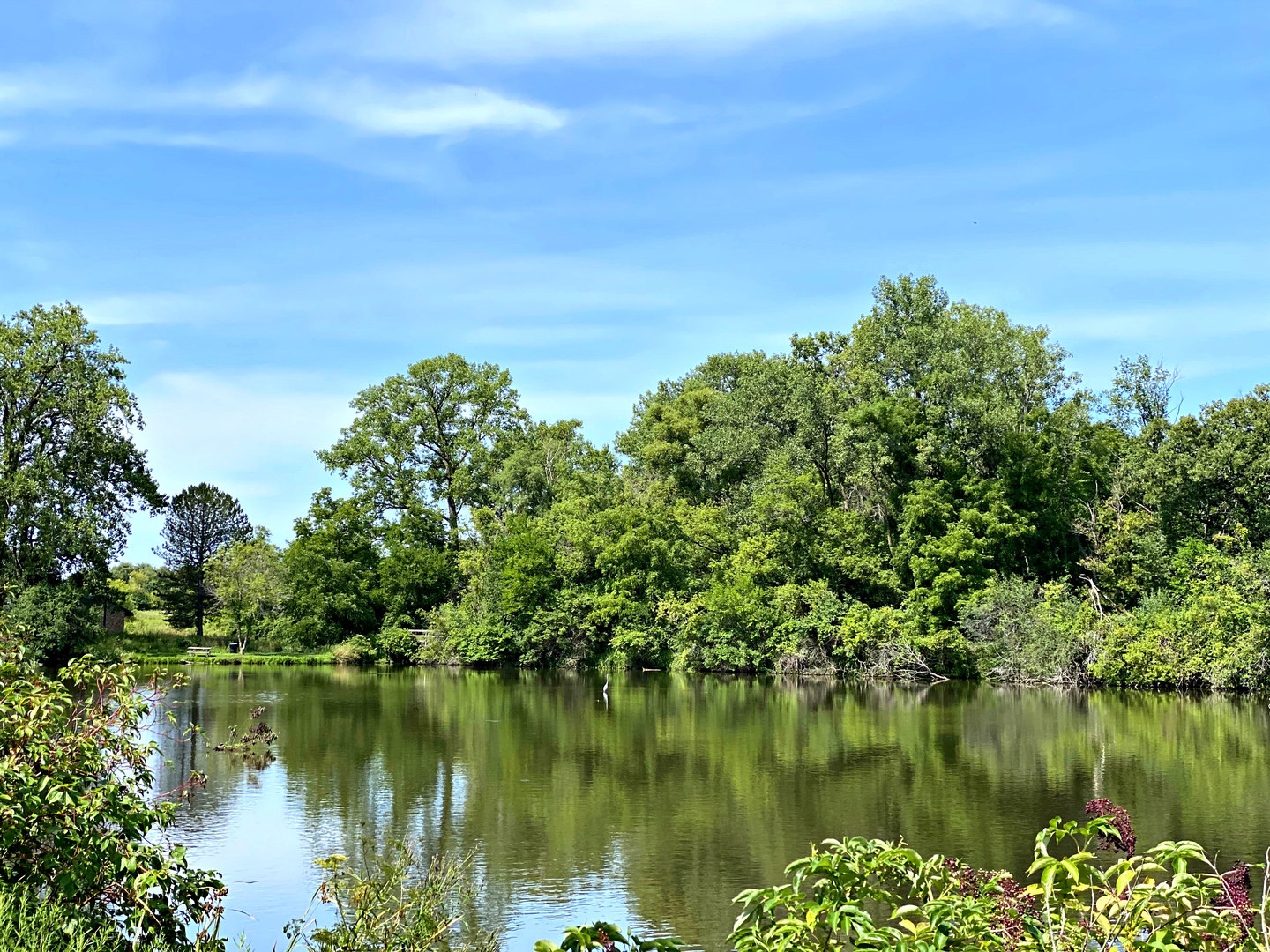 2109 Paulsen Road Harvard, IL 60033 - Photo 64 of 76 a view of a lake with houses in the back