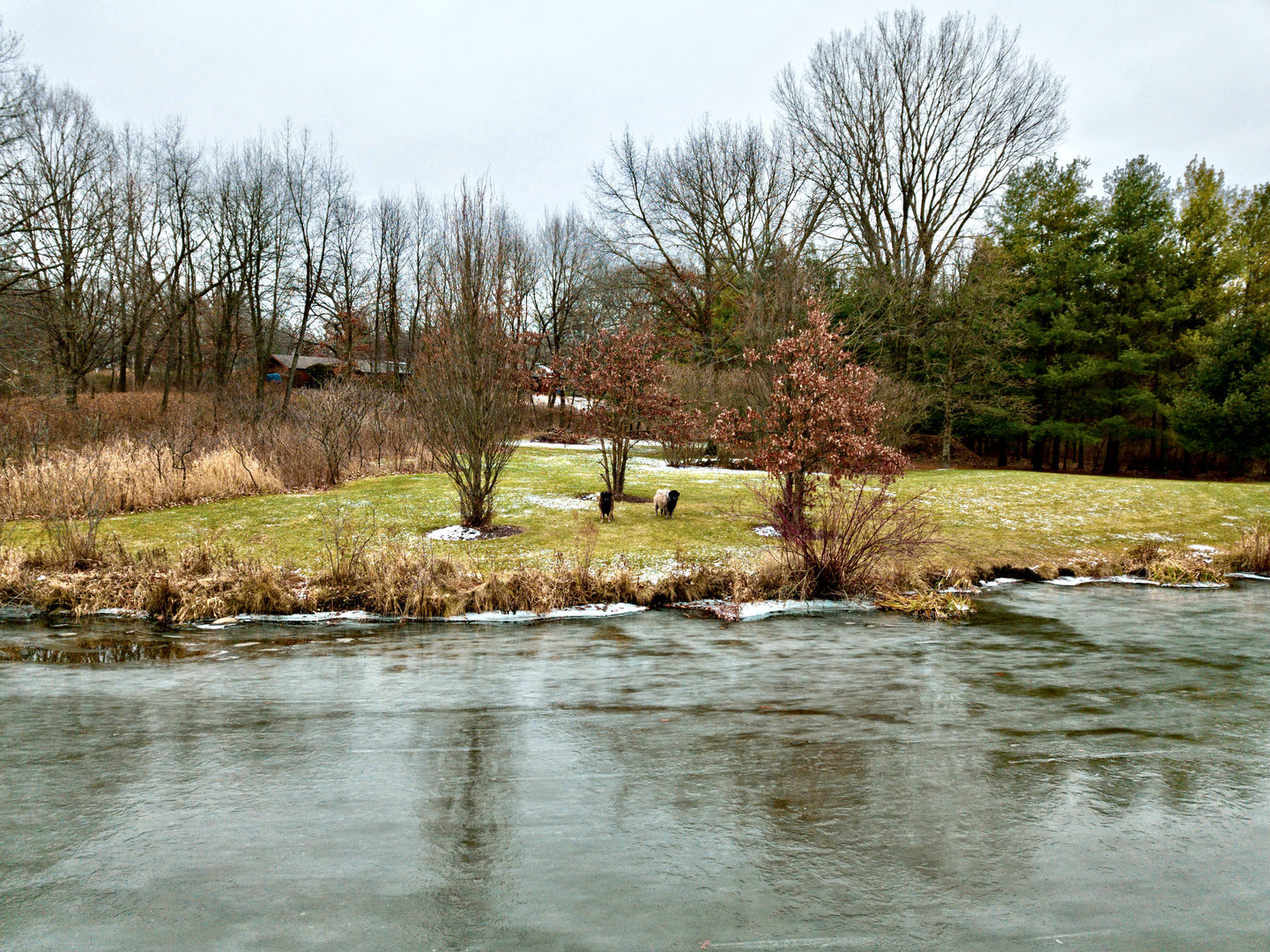 2109 Paulsen Road Harvard, IL 60033 - Photo 70 of 76