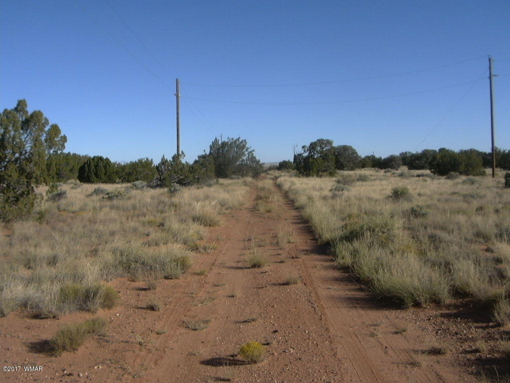 5440 Cedar Hills Road Snowflake, AZ 85937 - Photo 3 of 12 a view of a field with trees in the background
