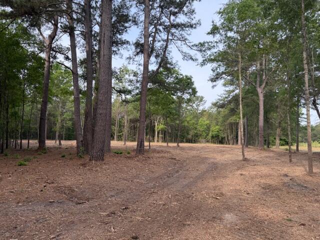 3 Trojan Road Cross, SC 29436 - Photo 6 of 21