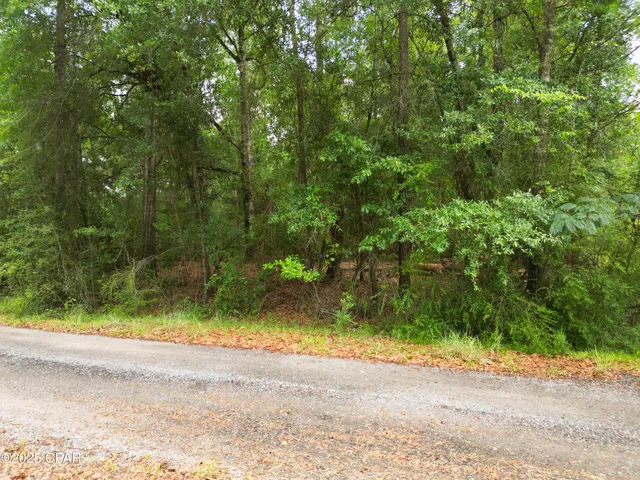 $49,900 | 0 Fairway Drive, Bonifay, FL 32425