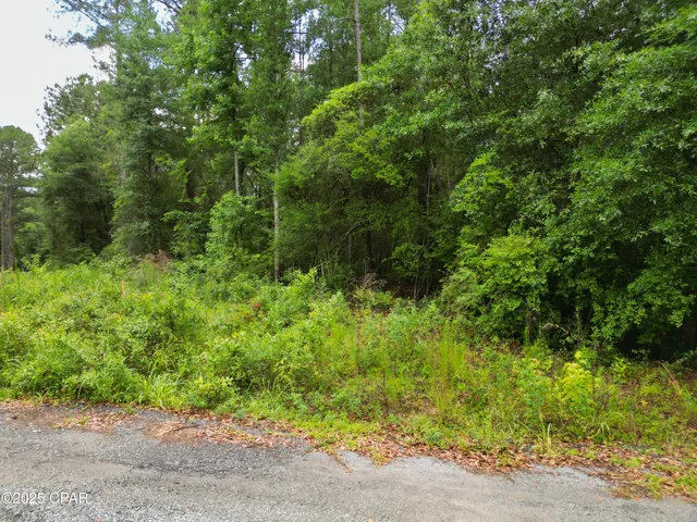 $49,900 | 0 Fairway Drive, Bonifay, FL 32425
