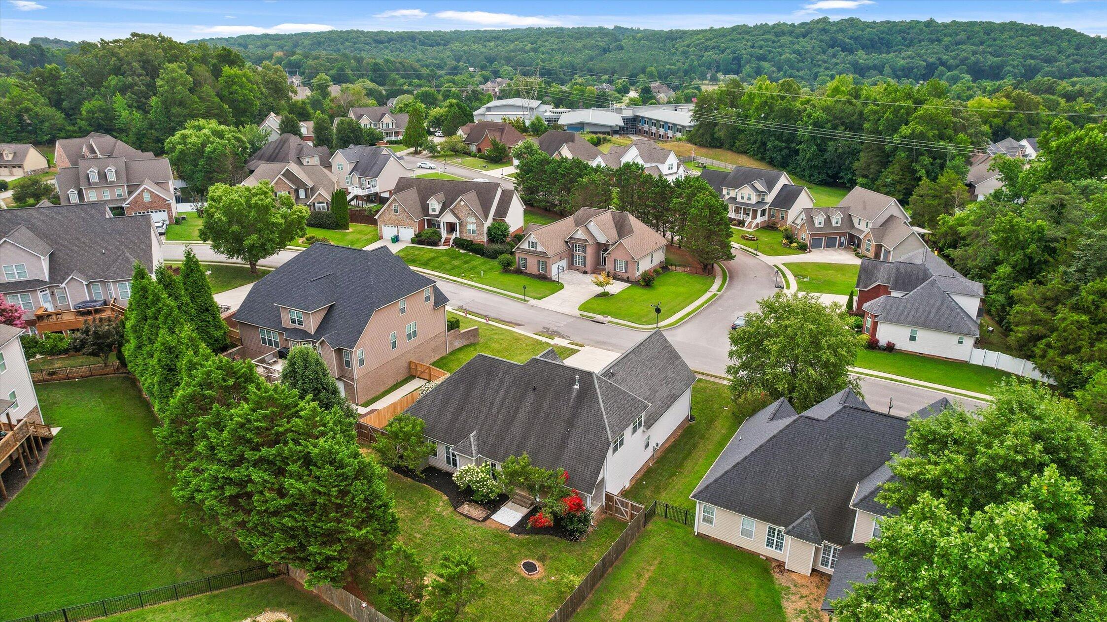 9859 Fieldcrest Drive Apison, TN 37302 - Photo 43 of 47 Rear Aerial