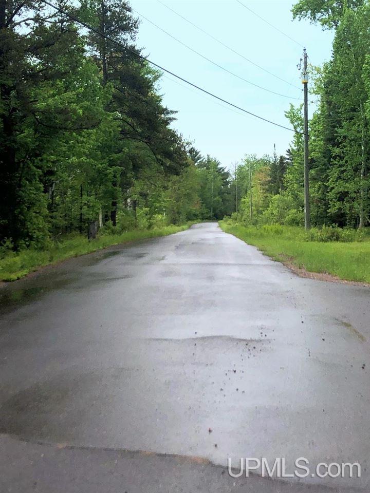 Tbd Co Rd Mt And Mu Palmer, MI 49871 - Photo 2 of 13