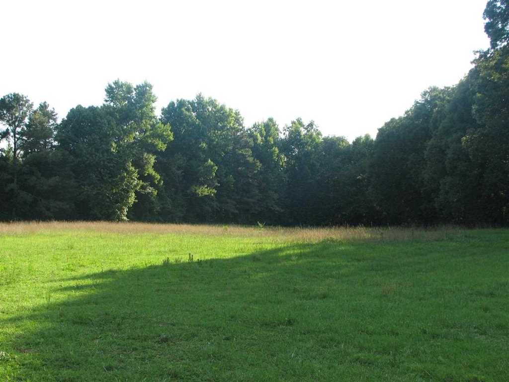 2928 Highway 413 Anderson, SC 29621 - Photo 8 of 26