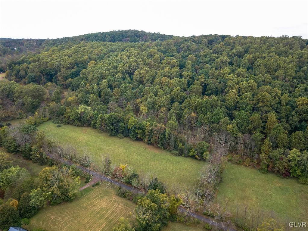 Funks Mill Road Riegelsville, PA 18077 - Photo 1 of 16 a view of a mountain in the distance in a field
