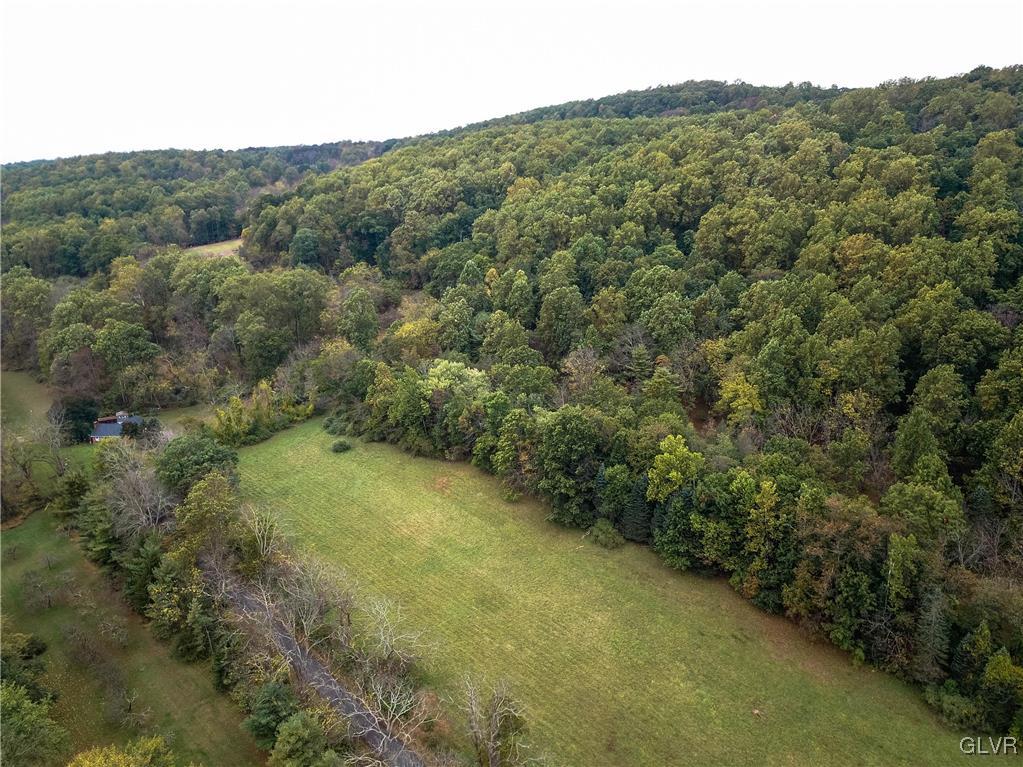 Funks Mill Road Riegelsville, PA 18077 - Photo 11 of 16 a view of a yard with a tree