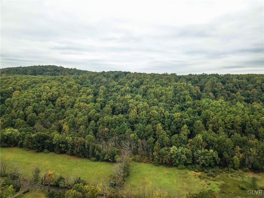 Funks Mill Road Riegelsville, PA 18077 - Photo 12 of 16 a view of a green field with lots of bushes