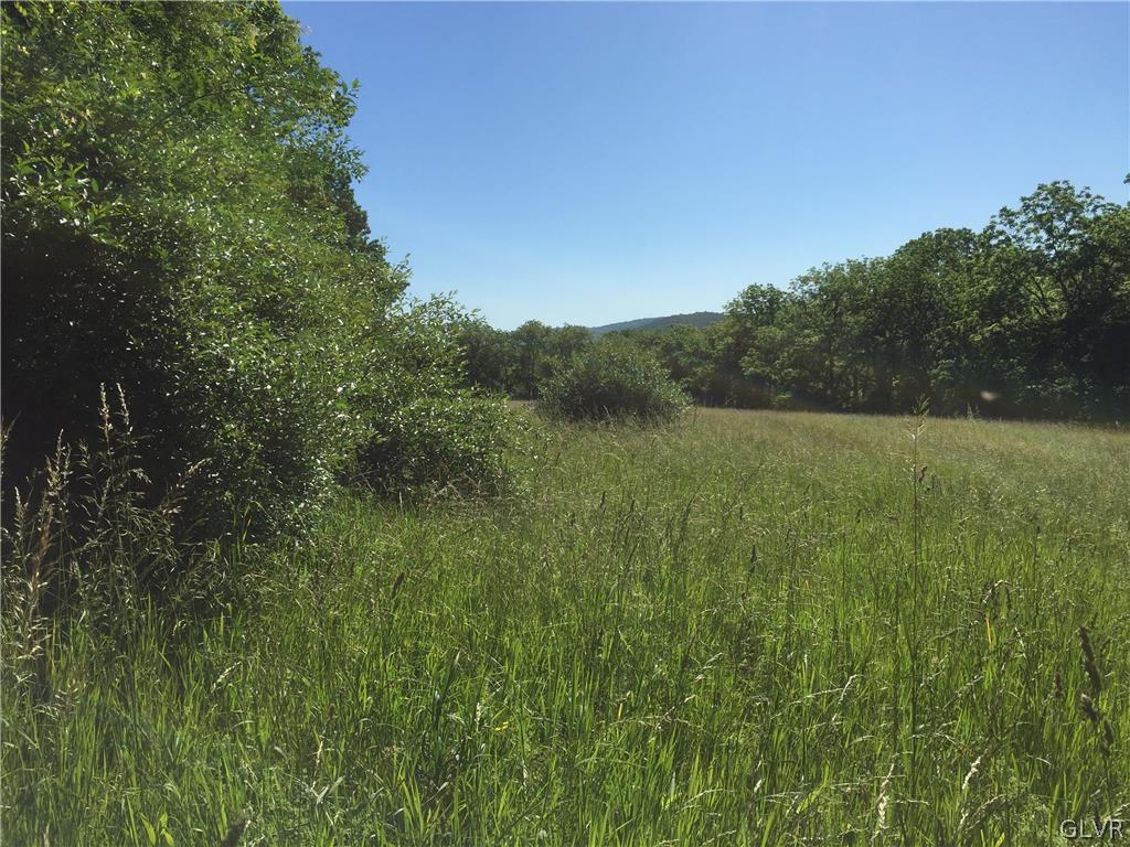 Funks Mill Road Riegelsville, PA 18077 - Photo 2 of 16 a view of a lush green space