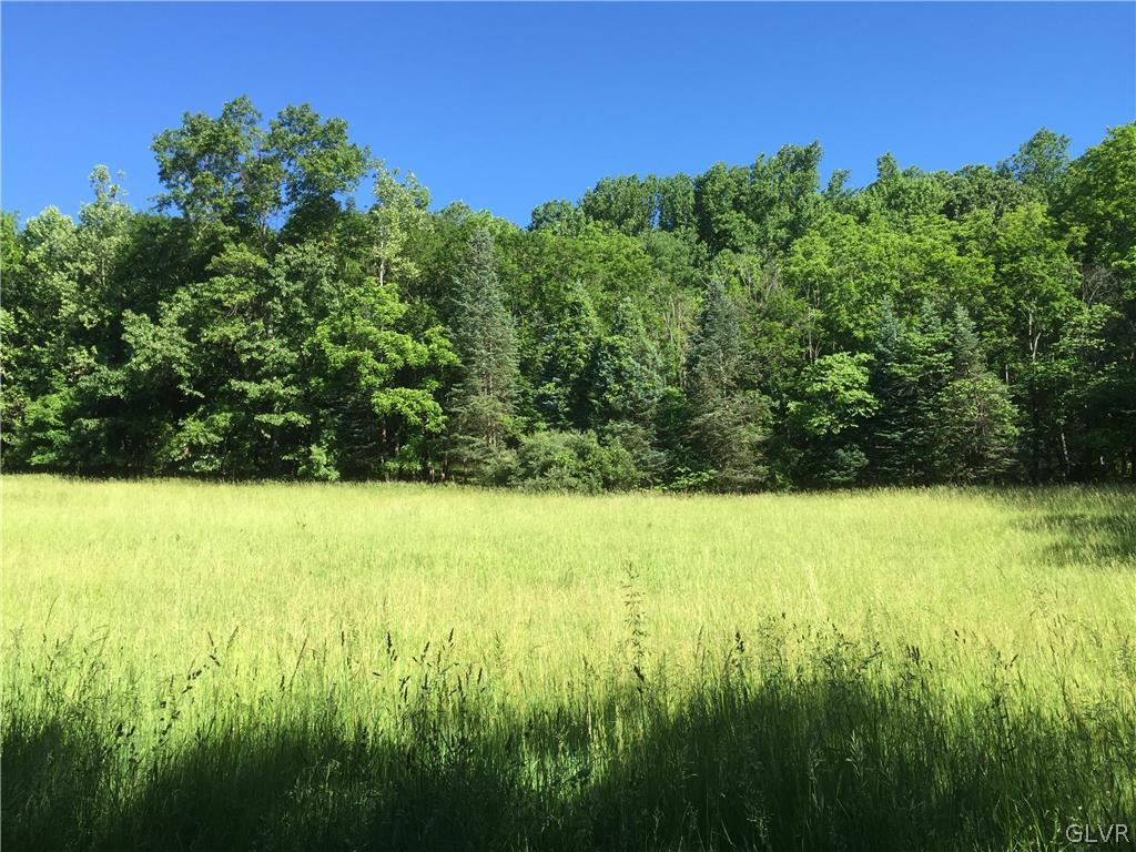 Funks Mill Road Riegelsville, PA 18077 - Photo 3 of 16 a view of a yard