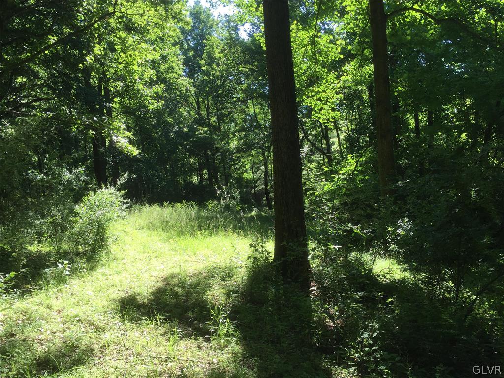 Funks Mill Road Riegelsville, PA 18077 - Photo 4 of 16