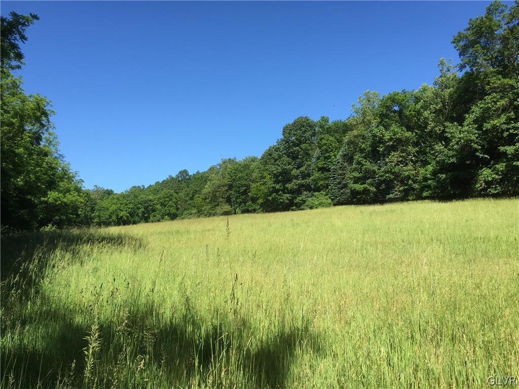 Funks Mill Road Riegelsville, PA 18077 - Photo 6 of 16 a view of a lake and yard