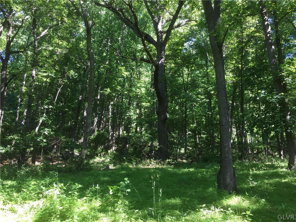 Funks Mill Road Riegelsville, PA 18077 - Photo 7 of 16 a view of a lush green space
