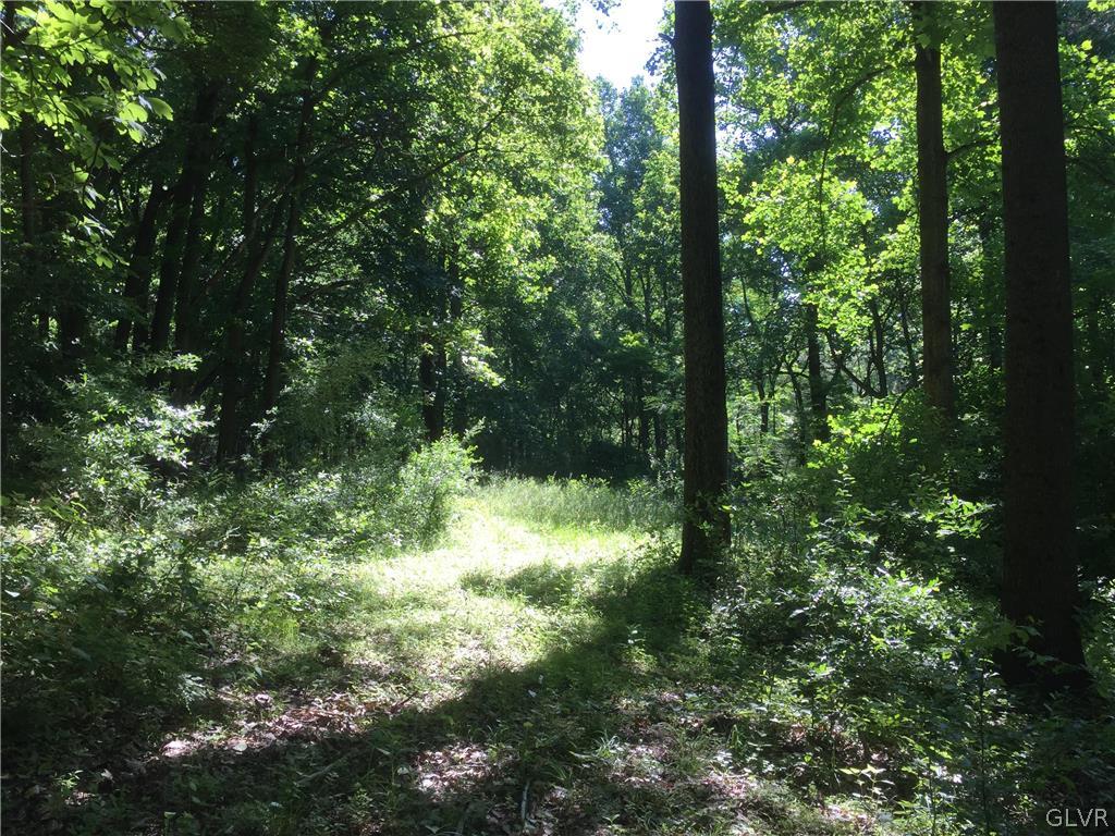 Funks Mill Road Riegelsville, PA 18077 - Photo 9 of 16 a view of forest