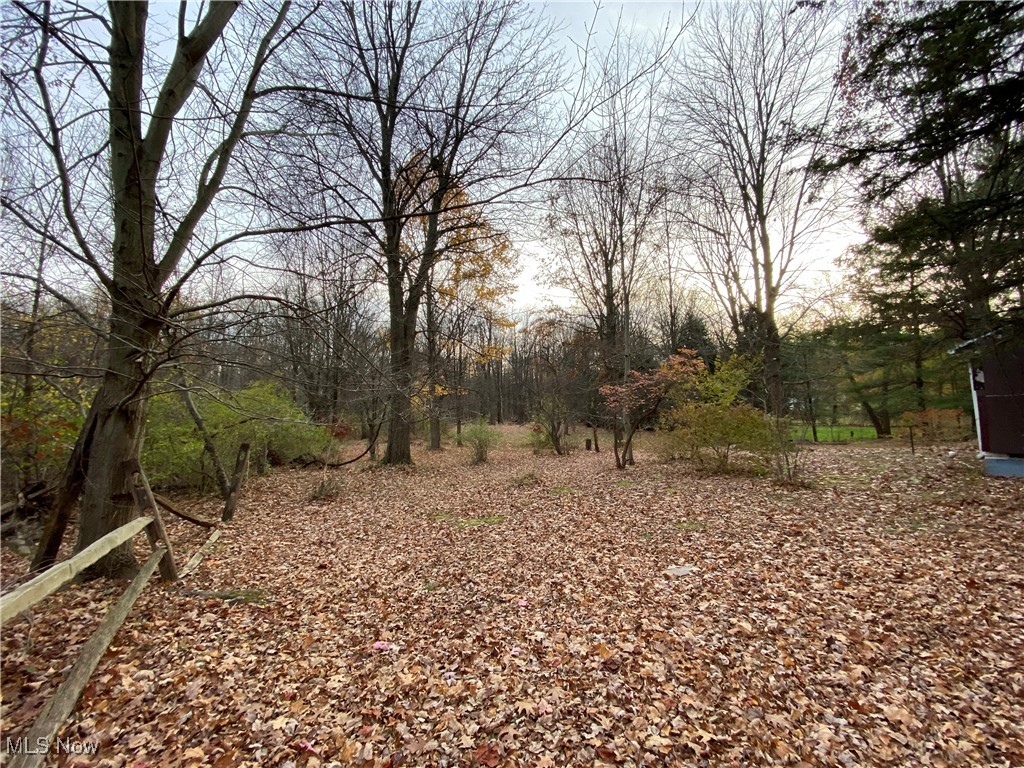 8964 Martin Road Willoughby, OH 44094 - Photo 17 of 21 Gallery Image 17