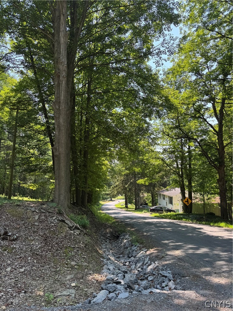 1 Bonney Hill Road Hamilton, NY 13346 - Photo 6 of 17 Looking down Bonney Hill Rd