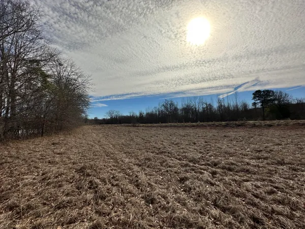$30,000 | 383 Rivers Run, Waynesboro, GA 30830