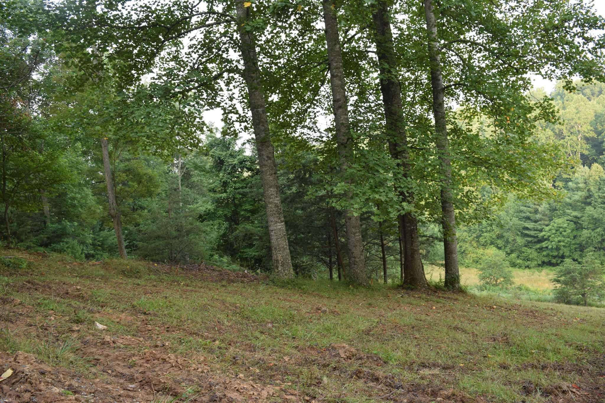 Epperly Mill Road Southwest Floyd, VA 24091 - Photo 14 of 15 Gallery Image 14