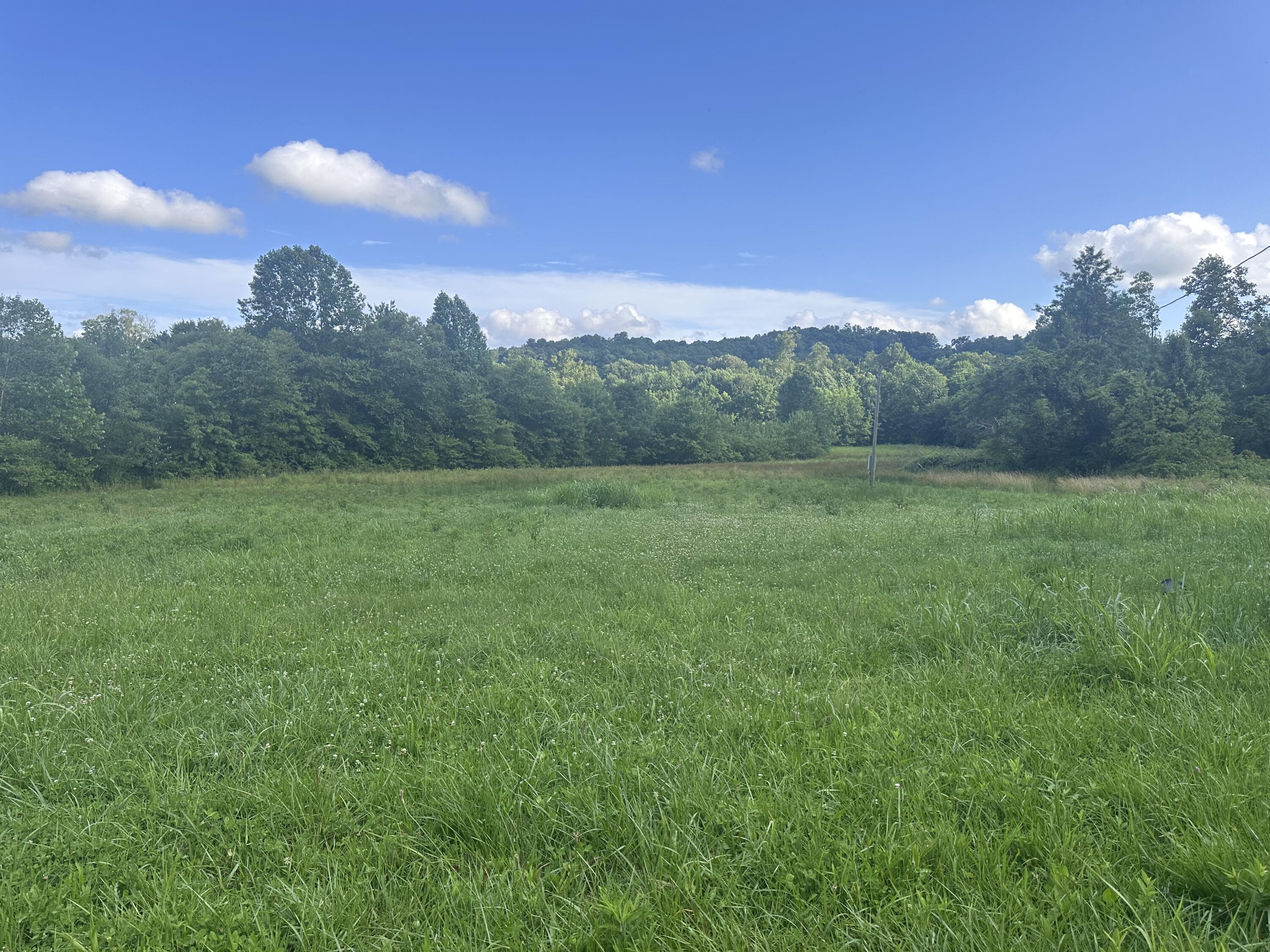 287 Baldwin Road McKee, KY 40447 - Photo 1 of 2 IMG_4200