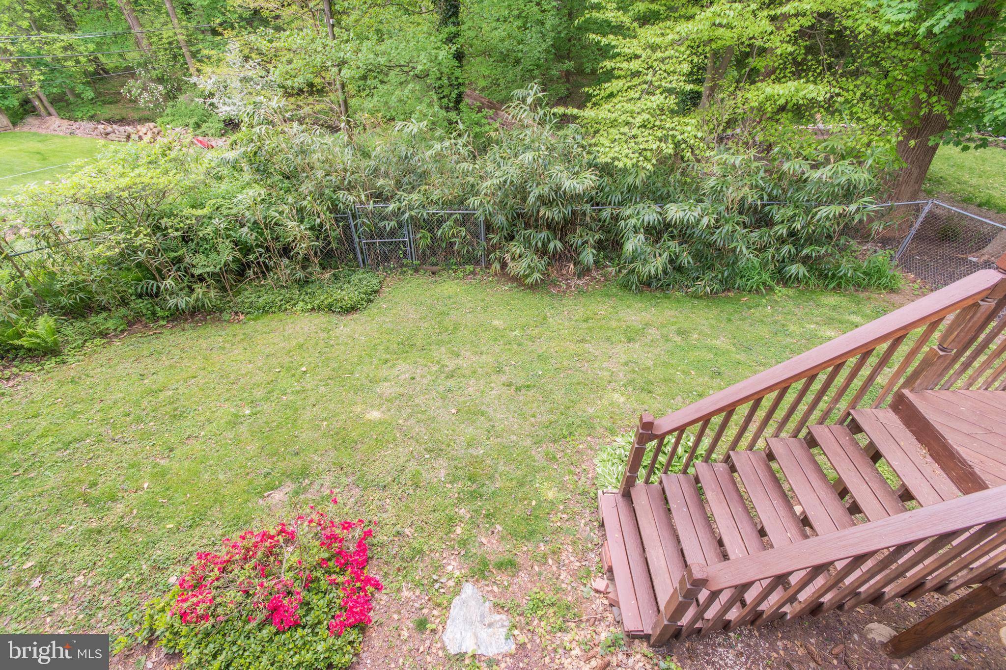 44 Eastwood Road Berwyn, PA 19312 - Photo 3 of 38 Fenced yard with a stream at the back wooded area.