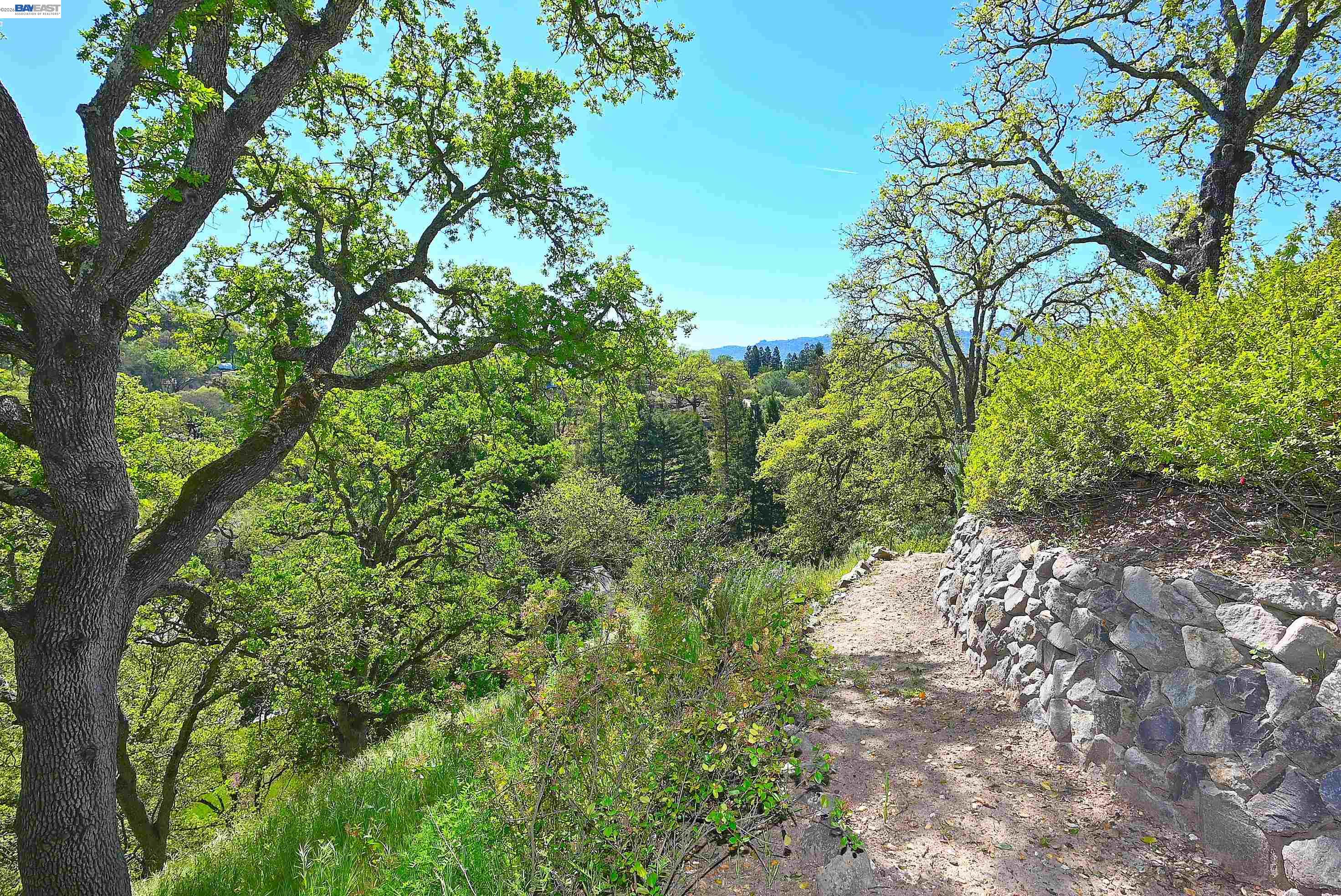 16 Ardendale Court Alamo, CA 94507 - Photo 12 of 58