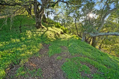 $1,599,000 | 3533 Springhill Road, Lafayette, CA 94549