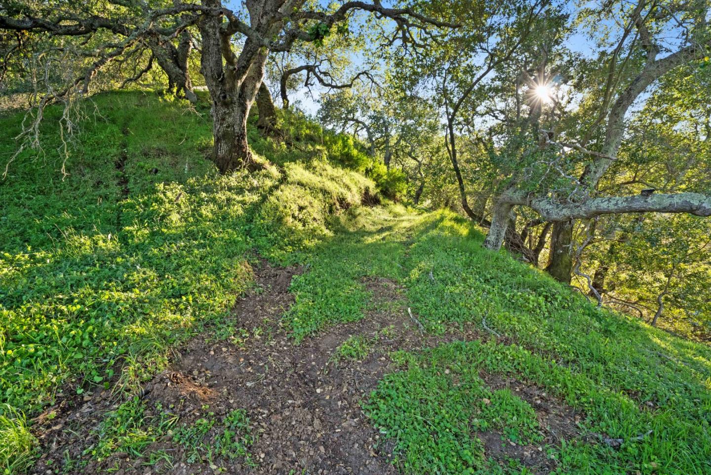 3533 Springhill Road Lafayette, CA 94549 - Photo 16 of 27