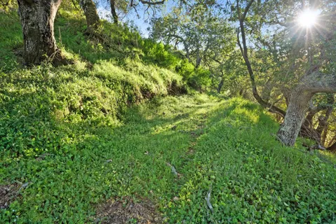 $1,599,000 | 3533 Springhill Road, Lafayette, CA 94549