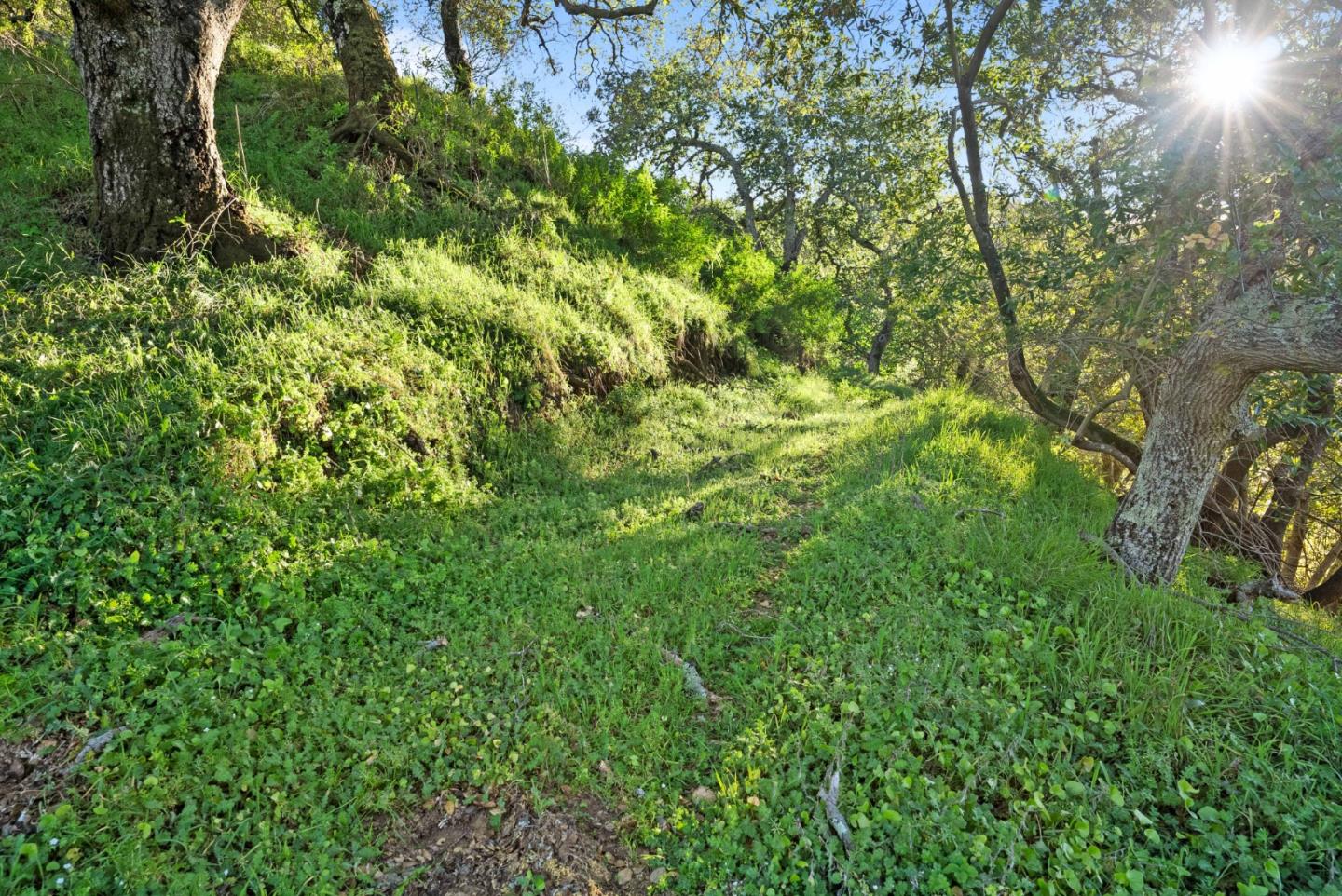 3533 Springhill Road Lafayette, CA 94549 - Photo 17 of 27