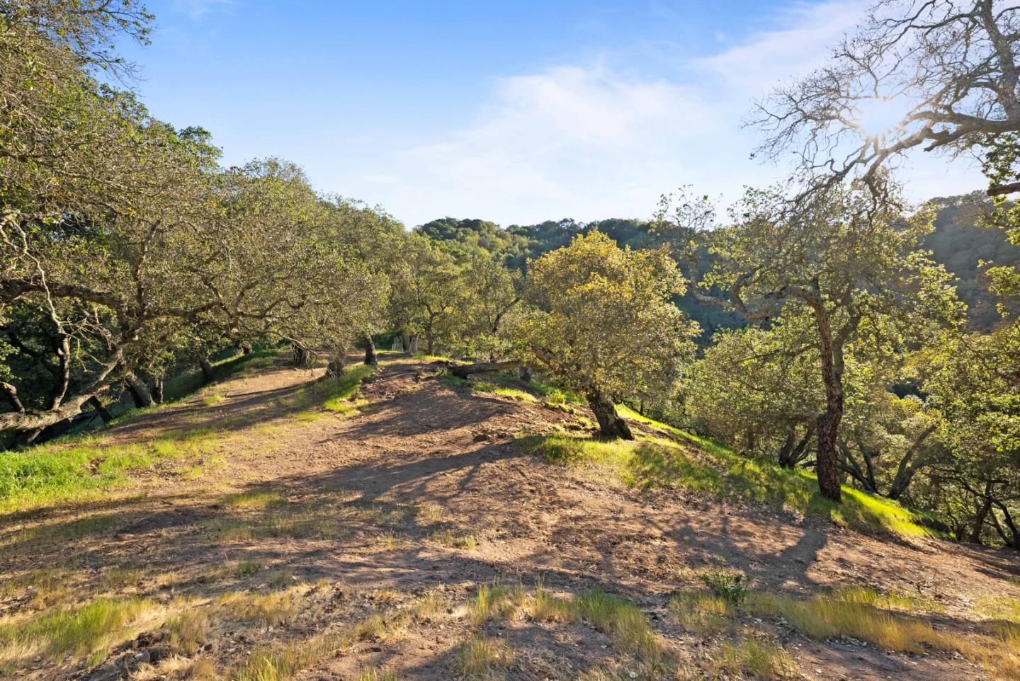 3533 Springhill Road Lafayette, CA 94549 - Photo 21 of 27