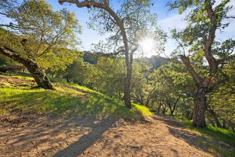 $1,599,000 | 3533 Springhill Road, Lafayette, CA 94549